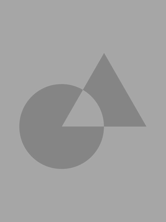 Proin pretium, leo ac pellentesque mollis, felis nunc ultrices eros, sed gravida augue augue mollis justo. Sed consequat, leo eget bibendum sodales, augue velit cursus nunc, quis gravida magna mi a libero.